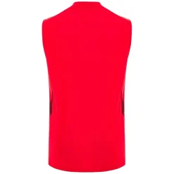 Wales Rugby Sleeveless Training Shirt 2025 Adults