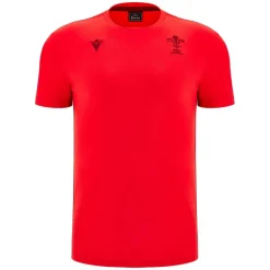Wales T-Shirt 2025 Adults