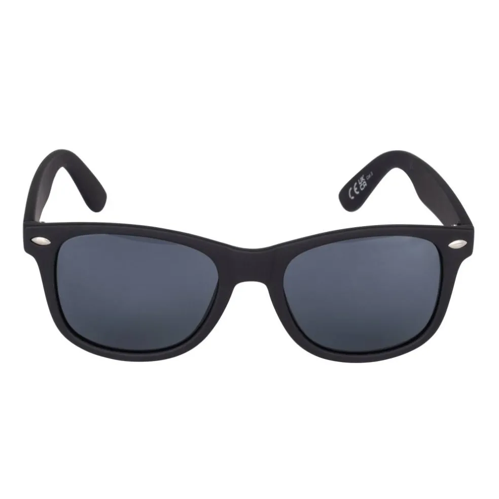 Wayfarer Sunglasses Mens