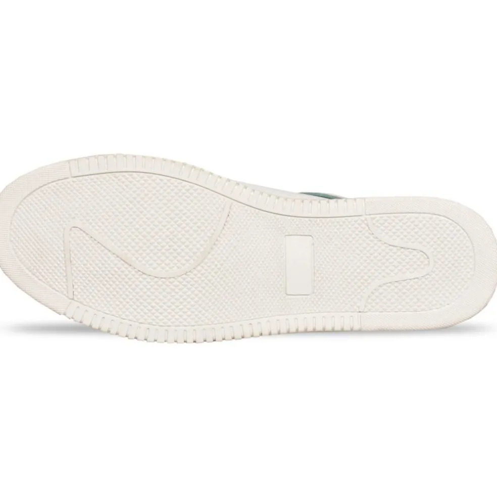 Wolf Trainer Sn62