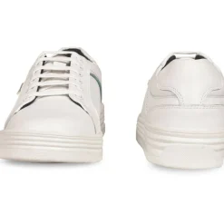 Wolf Trainer Sn62