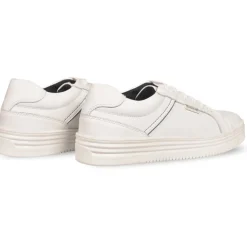 Wolf Trainer Sn62
