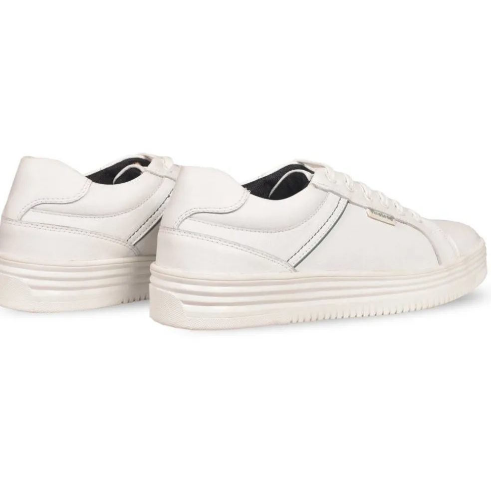 Wolf Trainer Sn62