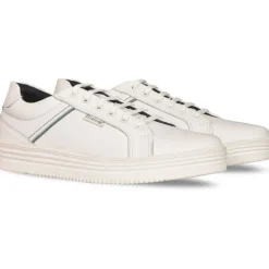 Wolf Trainer Sn62