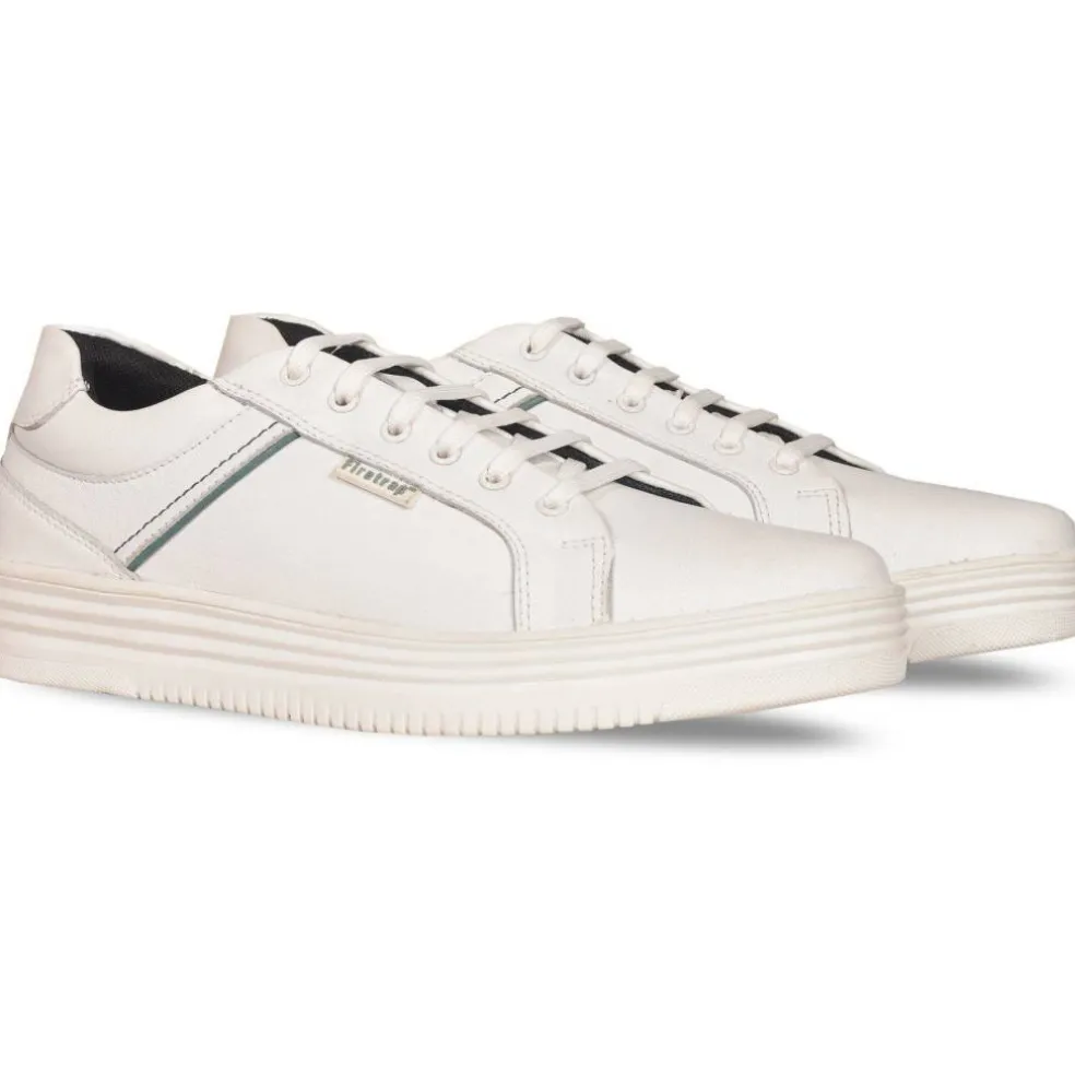 Wolf Trainer Sn62