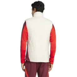 Bayern Munich Winterised Vest 24/25 Mens