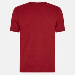 British & Irish Lions Monument T-Shirt 2025 Adults