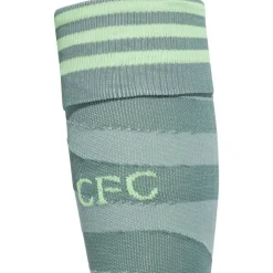 Celtic Third Shorts 2023 2024 Adults
