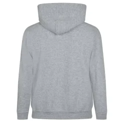 Men's Licensed Performance Logo Hoodie