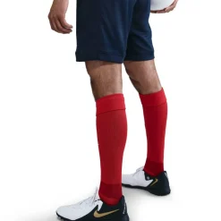 Paris Saint-Germain Home Shorts 2025 2026 Adults