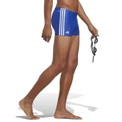 3 Stripe Swimming Shorts Mens