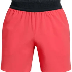 6 Vanish Elite Shorts Mens