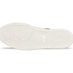 Wolf Trainer Sn62